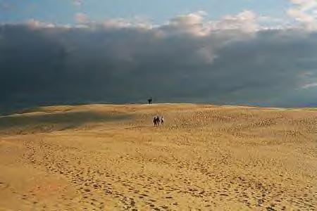 obx4.jpg