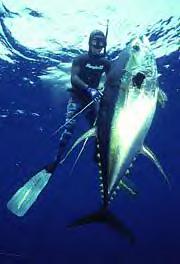 obx5.jpg