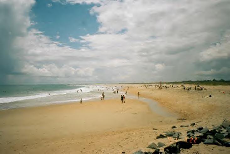 obx9.jpg