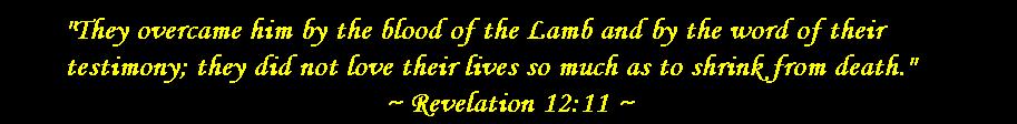 revelation1211.jpg