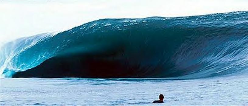 surf1.jpg